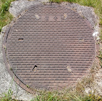 �F���s�}���z�[��