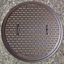 �F���s�}���z�[��