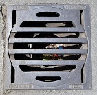 �h�C�c�}�C�i�E���N�}���z�[��