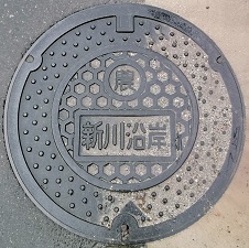 �V�쉈�ݔ_���}���z�[��