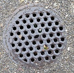 �X�C�X�x�����}���z�[��