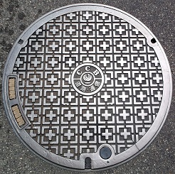 ���y��ʏȋ����a