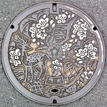 �ޗǎs�}���z�[��