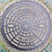 �ޗǌ��}���z�[��