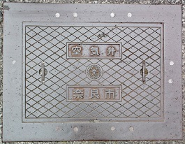 �ޗǎs��C��