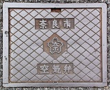 �ޗǎs��C��