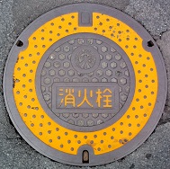 �F��E���҉������g�����ΐ�