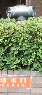 ���c�s������