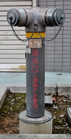 �߃����s������