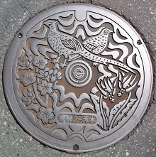 �񋏒��}���z�[��