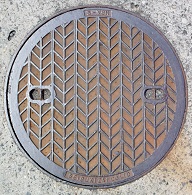 �񋏒��}���z�[��