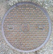 �䑷�q�s�}���z�[��