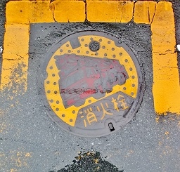 �s�c�s���ΐ�