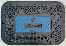 �H���s�ʐ���