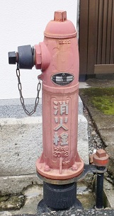 �X�㒬���̏��ΐ�