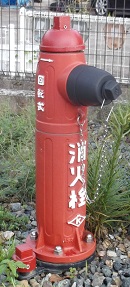 �s�������̏��ΐ�