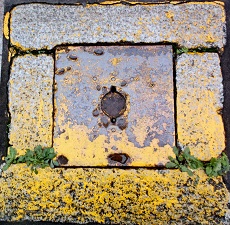 �Ή��s�}���z�[��