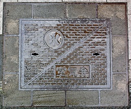 �Ή��s��C��