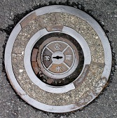 ���{�s������