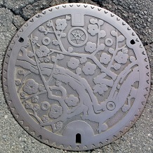 ���ˎs�}���z�[��