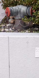 ���ˎs������