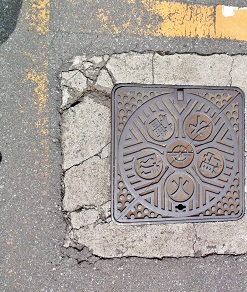 ���C���s�h�ΐ���