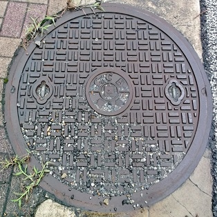 ���Ɍ������a