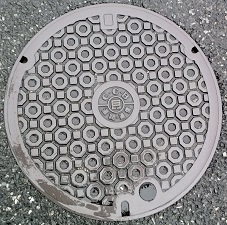 ���Ɍ������a