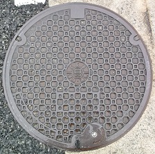 ���Ɍ������a