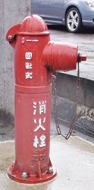 �R�쒬���̏��ΐ�