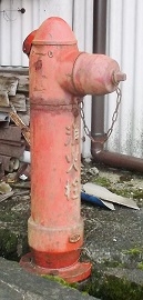 �R�쒬���̏��ΐ�