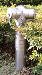 �����s������