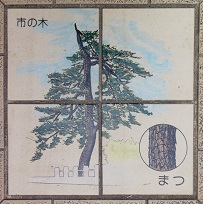 �����s����