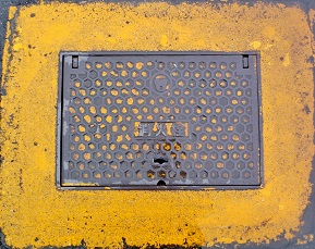 ���C�����ΐ�