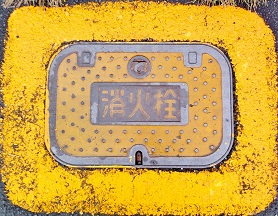 ���C�����ΐ�