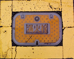 ���C�����ΐ�