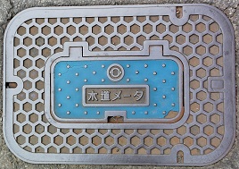 �������ʐ���