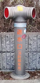 �L���s������