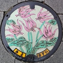 ���ˎs�}���z�[��