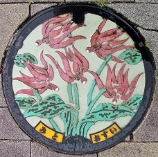 ���ˎs�}���z�[��