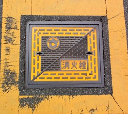 �m���s���ΐ�