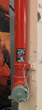 �����摗����