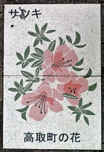 ���撬�ʐ���