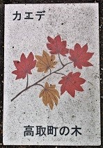 ���撬�ʐ���