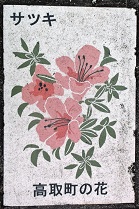 ���撬�ʐ���