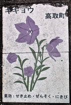 ���撬�ʐ���