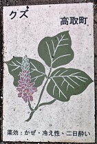 ���撬�ʐ���