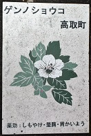 ���撬�ʐ���