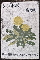 ���撬�ʐ���