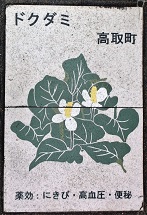 ���撬�ʐ���